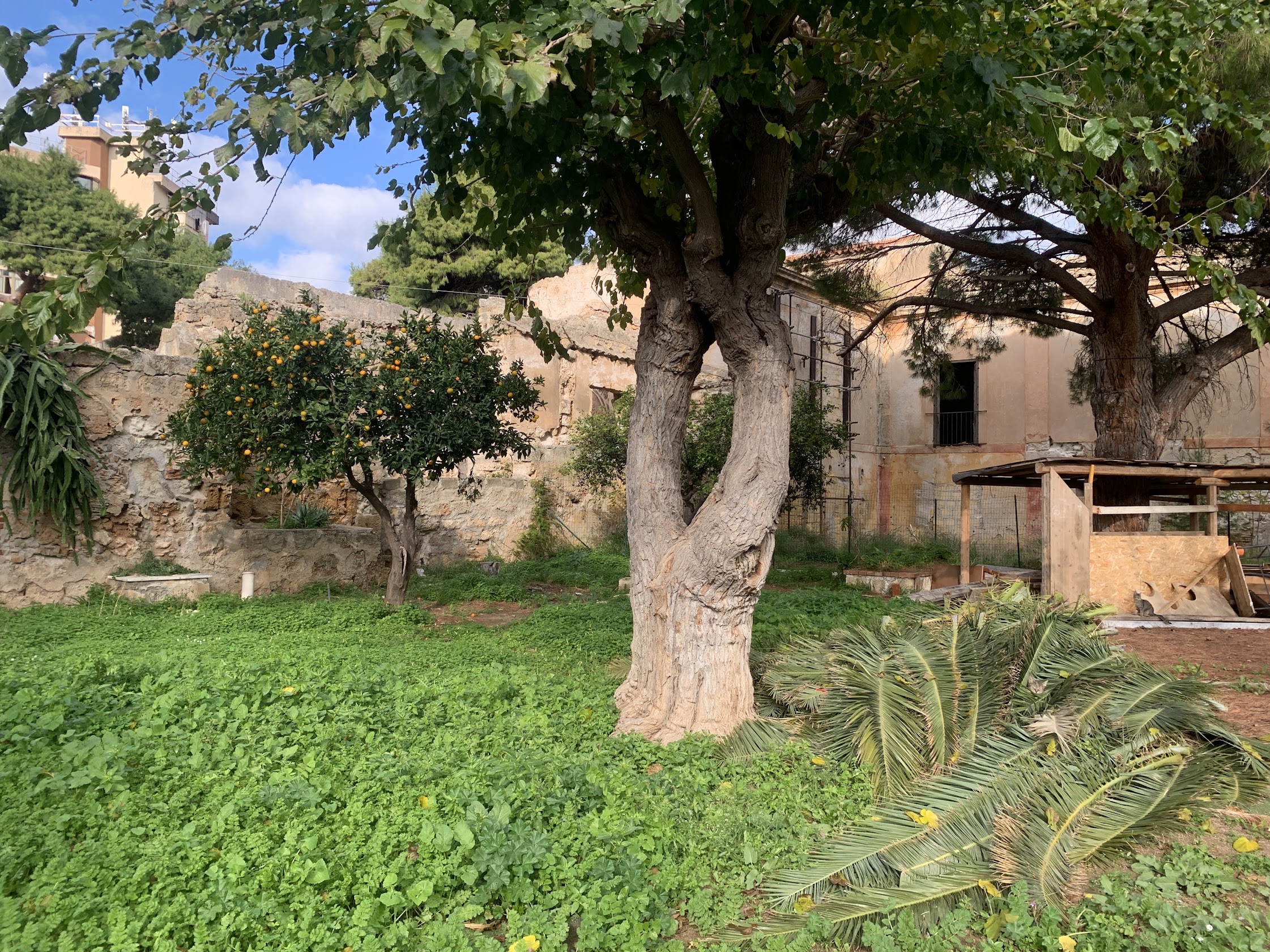 Fotografia di progetto